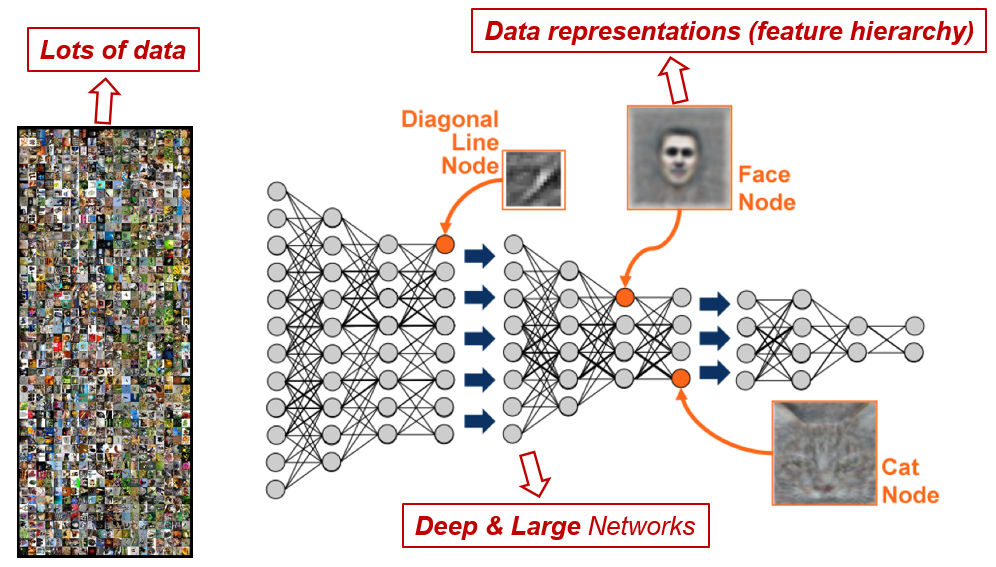 Reverse convolutional neural store network